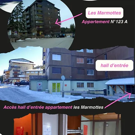 Les Marmottes Appartement *