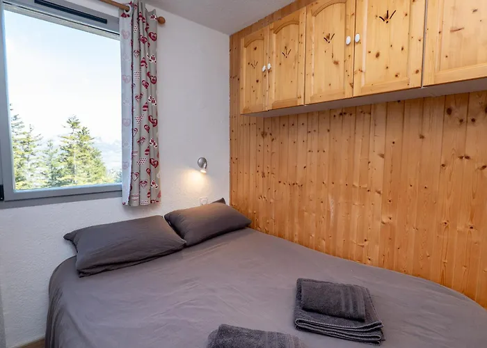 Les Marmottes * Selonnet